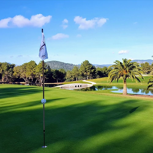 Daari Transfers Mallorca