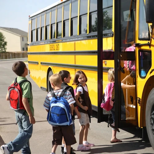 Daari Transfers Mallorca