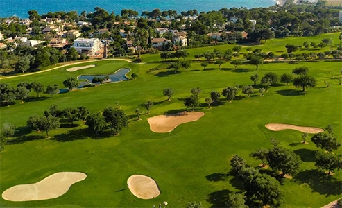 Daari Transfers Mallorca